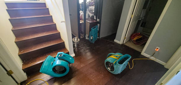 Best Basement water damage restoration  in Holiday Valley, OH