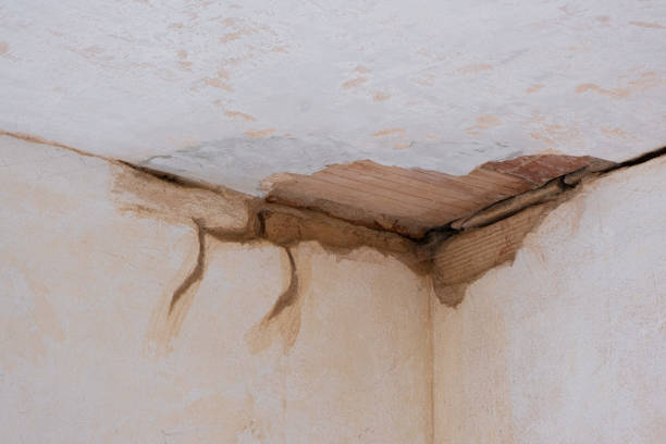 Best Water damage restoration cost  in Holiday Valley, OH