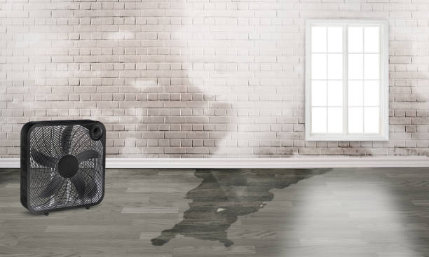 Best Sewage cleanup and water damage restoration  in Holiday Valley, OH