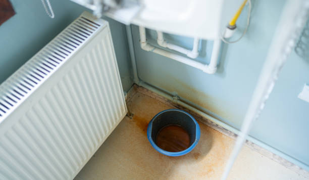Best Carpet water damage restoration  in Holiday Valley, OH