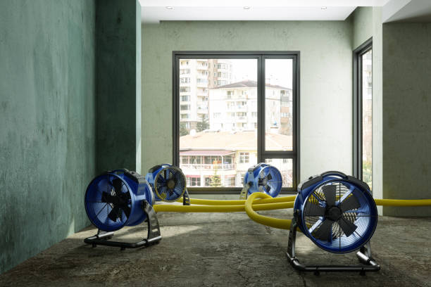 Best Commercial water damage restoration  in Holiday Valley, OH